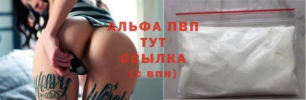 крисы Карпинск