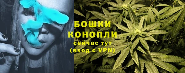 ПСИЛОЦИБИНОВЫЕ ГРИБЫ Карталы