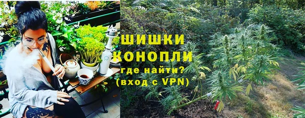 ПСИЛОЦИБИНОВЫЕ ГРИБЫ Карталы