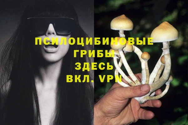 ПСИЛОЦИБИНОВЫЕ ГРИБЫ Карталы