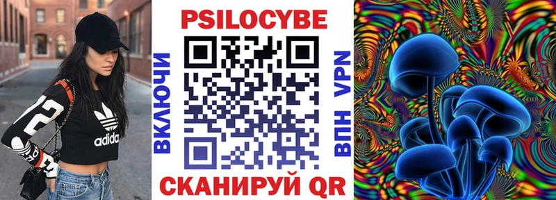 Галлюциногенные грибы Psilocybe Бугуруслан